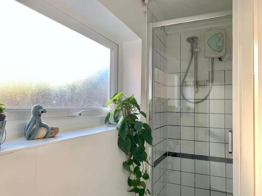 Cute Cottage 4 Mins From Cafes Station And Sea St Leonards-on-Sea Eksteriør bilde